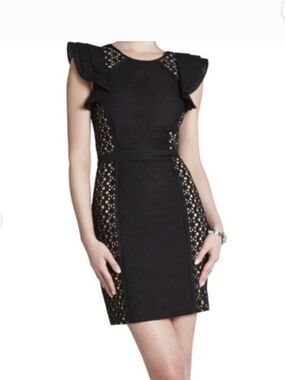 BCBG Desireae eyelet dress